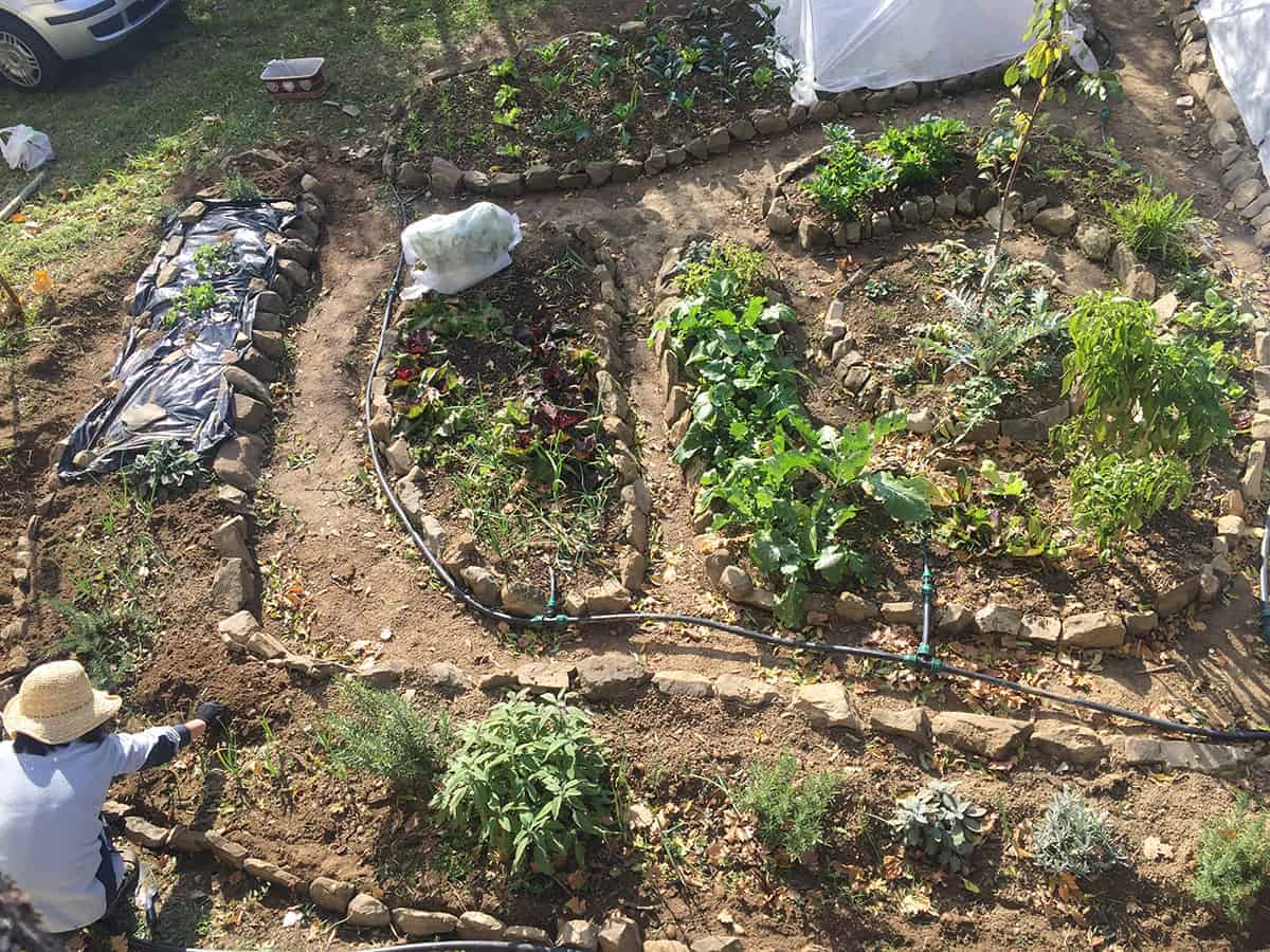 Permaculture Farming | Habitapis